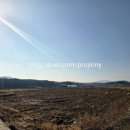 율곡천 3 이미지