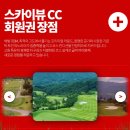 스카이뷰 이미지