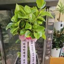 디자인세성주 이미지