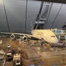 323 | [신혼여행 두바이&amp;몰디브] 에미레이트 항공(인천>두바이) EK323 탑승 후기 및 가격 정보