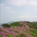 신탄대한약국 이미지