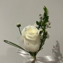 진플라워 - 서대문구 가재울로 30 | w3. 부산 자유도매시장 꽃시장 웨딩촬영 부케 진플라워 내돈내산 후기 가격공유
