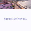 플랜트진해석동라운지 | 여름 진해 감성 브런치 카페 투어 코스 추천
