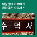 동도여관 | 덕숭산에 아늑하게 자리잡은 수덕사,수덕여관,암각화~