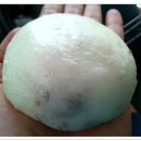 만나손찐빵 이미지