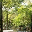 오토빌리지 이미지