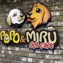 포포앤미루 강동점 이미지