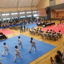 용인대 태풍태권도 이미지