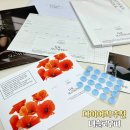 슬로우피 | 다이어리 추천 더슬로우피 한달플래너로 시간관리 시작하기