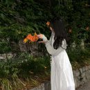 희망대공원길 | [경기도] 서울 근교 성남 '희망대공원' 능소화 위치 및 현재 상황