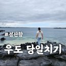서빈투어 | 우도 당일치기 코스 추천! 우도투어버스 이용 방법(성산항 배시간)