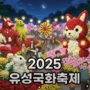 대전 유성구 유림공원 국화꽃 축제 이미지