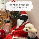 김녕초등학교 | 제주 김녕해수욕장 애견동반 오션뷰 카페 김녕쪼끌락카페 후기