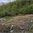 내서읍510 이미지