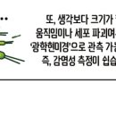 신풍구제 | [신풍제약] 말라리아와 코로나 동시감염(MALCOV) 치료사례로 알아보는 『피라맥스』의 시그널