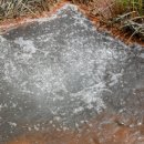 빠스또네 이미지