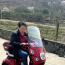 이지모터스 이미지