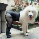 헐 이미지