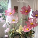 아산병원어린이집 이미지