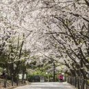 승학산 배드민턴장 이미지