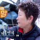 우리마음병원