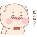 킹정육마트 이미지