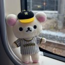 헬로스윗제이 | 大阪で見つけた私だけのかけら