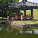 대상투어 이미지