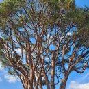 남원서원초등학교 이미지