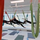 신기북7길 | 여수_신기동 김현숙요가&amp;플라잉 힐링 후기