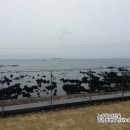 덕인서림 이미지