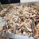 에스토리아(ASTORIA) 이미지