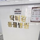 구름동물병원 네이버블로그