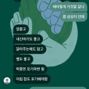 정일도장 | 따개(단)비 루