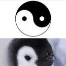 화