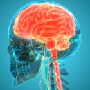 부동산경매공법(주간) 이미지