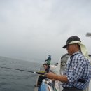 2013. 9. 14. (토. 음8/10. 2물). 읍천 삼치지깅 월성호 오전 오후반 각각. (신라낚시 월성호 김재곤...