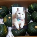 해창농장 이미지