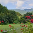 딸기민박 이미지