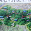 구룡자동차야영장 이미지