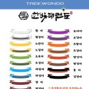 용인대 한빛 태권도장 이미지