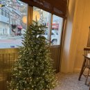 원앙 | 전포 메밀소바 우동 신상 맛집 돈까스 세트 후기 :: 원앙