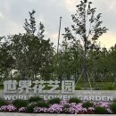 상하이 힐링 코스 추천｜상하이온실정원(上海温室花园)에서 만난 초록과 여유🌿