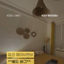파리 에어비앤비 비추 숙소 : 배드버그 물림 !