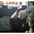 헬로로또편의점 이미지