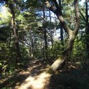 여강길(10-1코스 싸리산길) 이미지