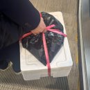 온누리 | 노량진수산시장 신안군향우회 킹크랩 포장 가격 후기 (온누리상품권 사용)