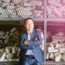 선형상사 이미지