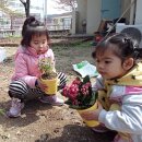 청통초등학교병설유치원 이미지