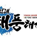 용인대 태풍태권도 이미지